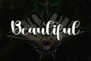 ButterflyTumbler, a Handwritten Font by InermediaSTUDIO (Thumbnail 4 of 8)
