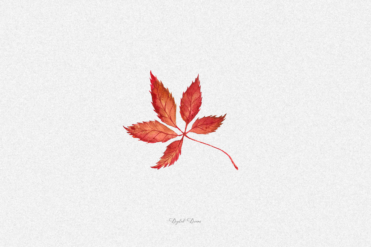 Watercolor fall leaves, an Illustration by DigitalDream (Photo 3 of 5)