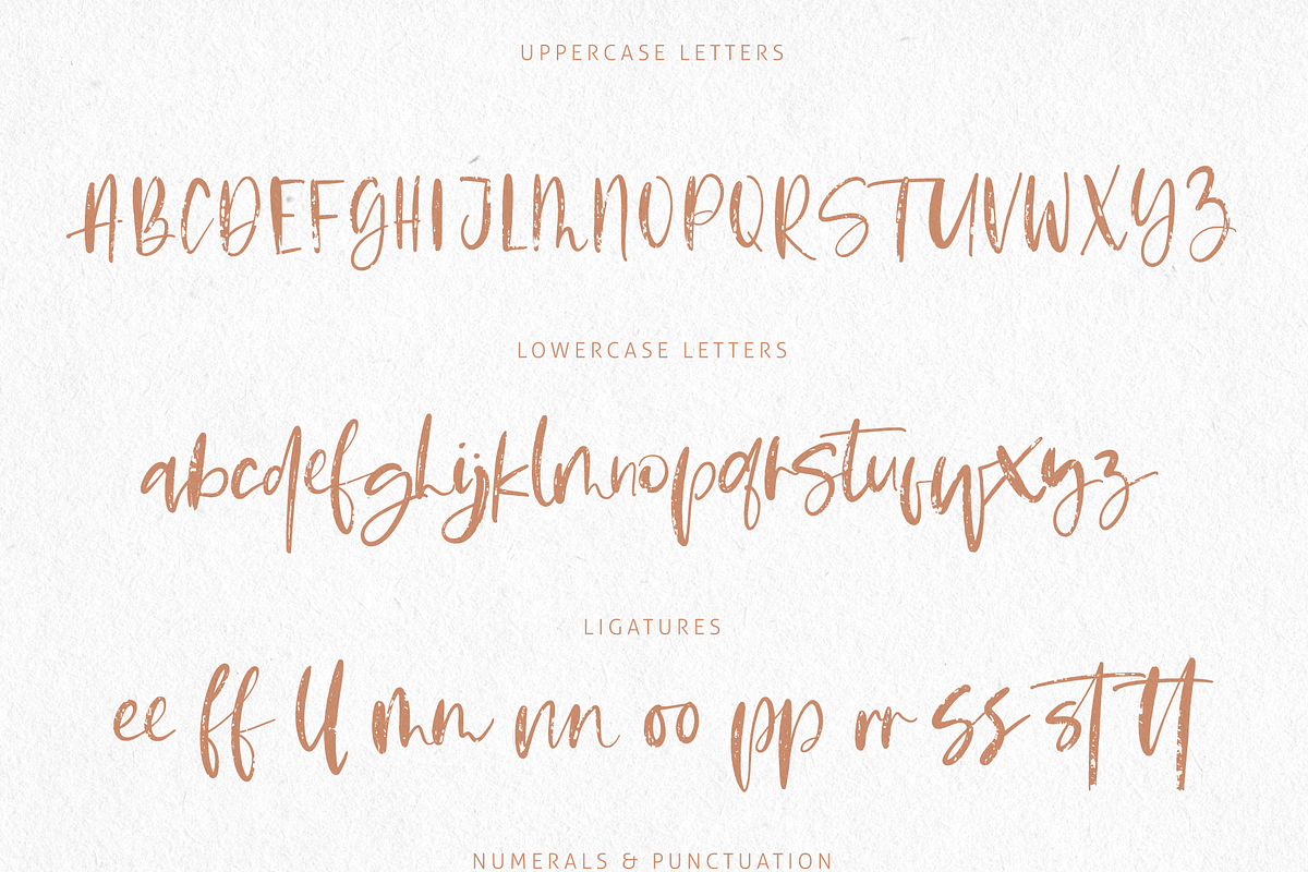 Pumpkin Spice Latte | Brush Script preview 4