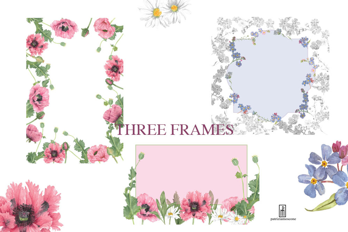 PINK POPPIES, an Illustration by patriziamoscone (Photo 3 of 7)