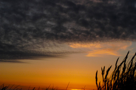 Sunset at the beach stock photo containing sunset and grass