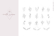 Wild flowers illustration clipart, an Illustration by Angele Kamp (Thumbnail 4 of 15)