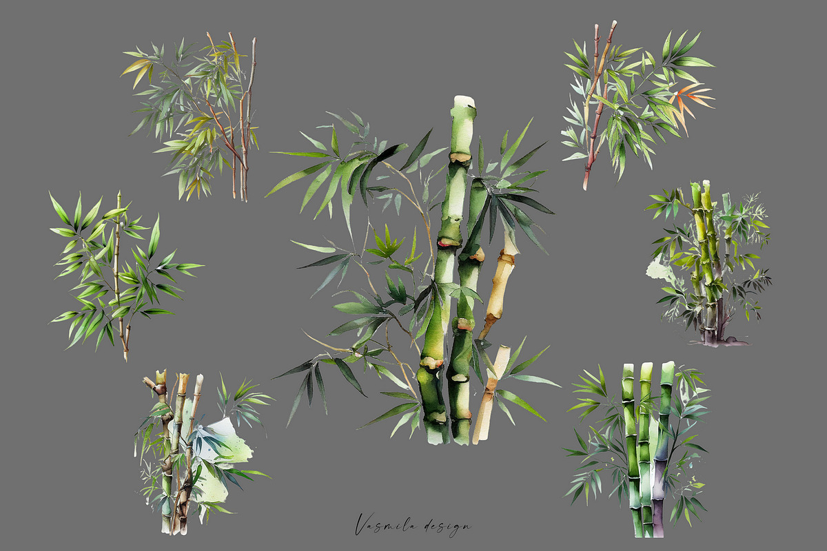 Watercolor Bamboo Trees, a Decorative Illustration by Vasmila (Photo 5 of 8)