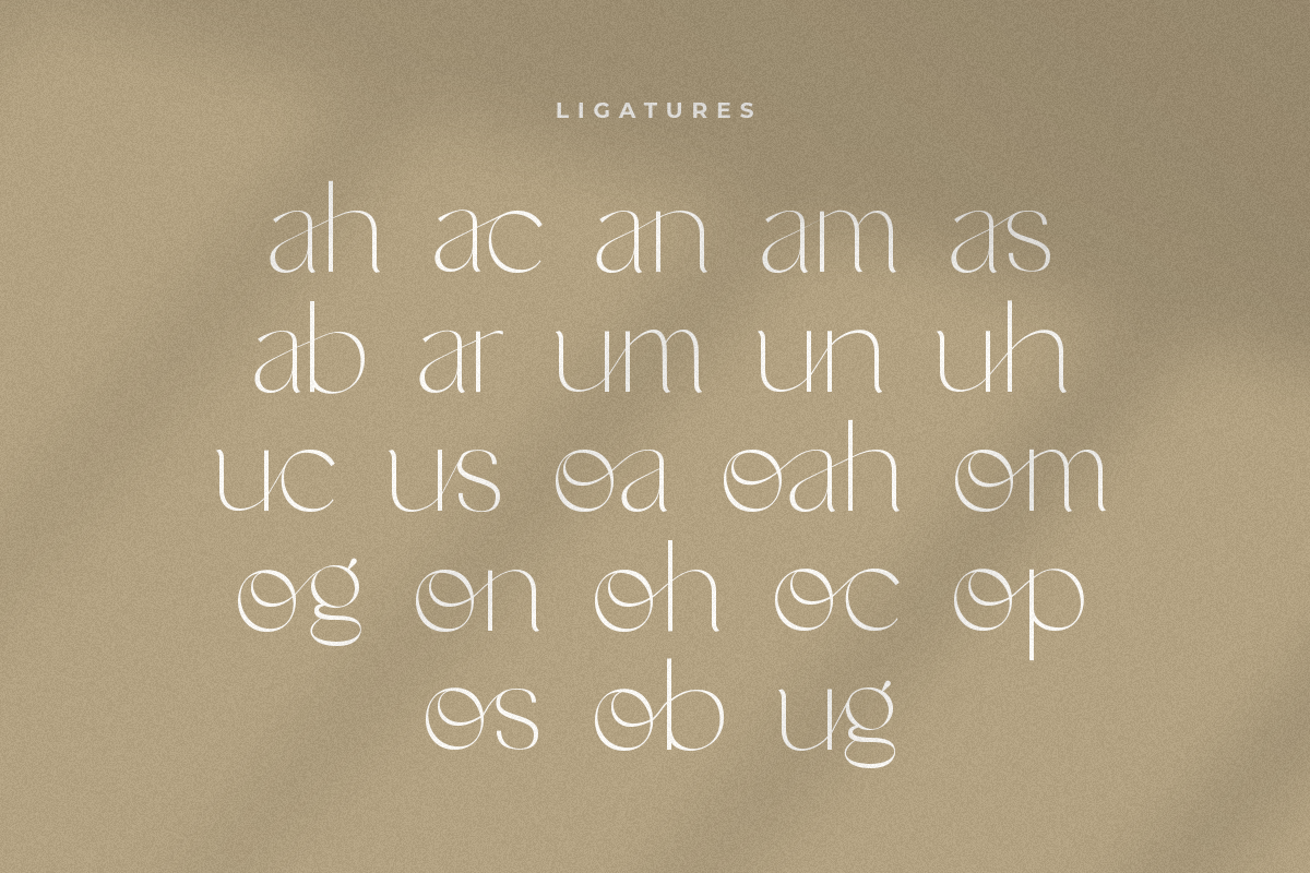 Noah - Elegant Ligature Font, a Serif Font by Sensatype (Photo 7 of 19)