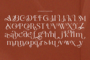 Dolmira, a Sans Serif Font by zaaintype (Thumbnail 10 of 12)