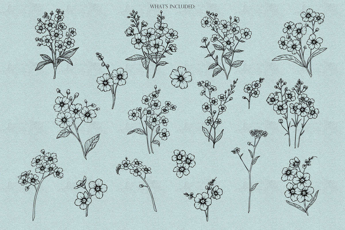 Forget-me-not Procreate Line Art Sta, a Brush Add-On by Dervik Art Store (Photo 3 of 6)