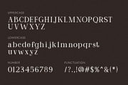 Aurellina Modern Elegant Serif, a Serif Font by Vadovastd (Thumbnail 2 of 7)