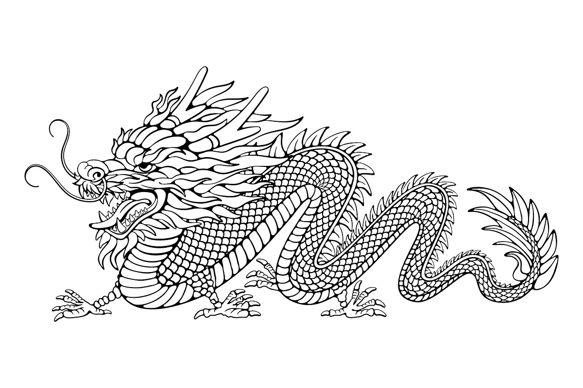 Chinese Dragon, an Animal Illustration by Vector beauty (Photo 3 of 5)
