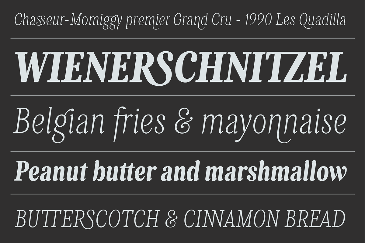 Levino Font Family, a Font by Punch (Photo 2 of 10)