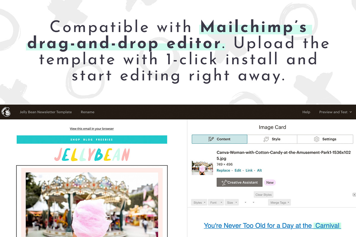 Email Newsletter Template Mailchimp, an Email Template by ltsdesigns (Photo 3 of 3)