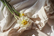 SPRING BOX Watercolor Bundle 400+, a Decorative Illustration by Muse Artist (Thumbnail 69 of 99)