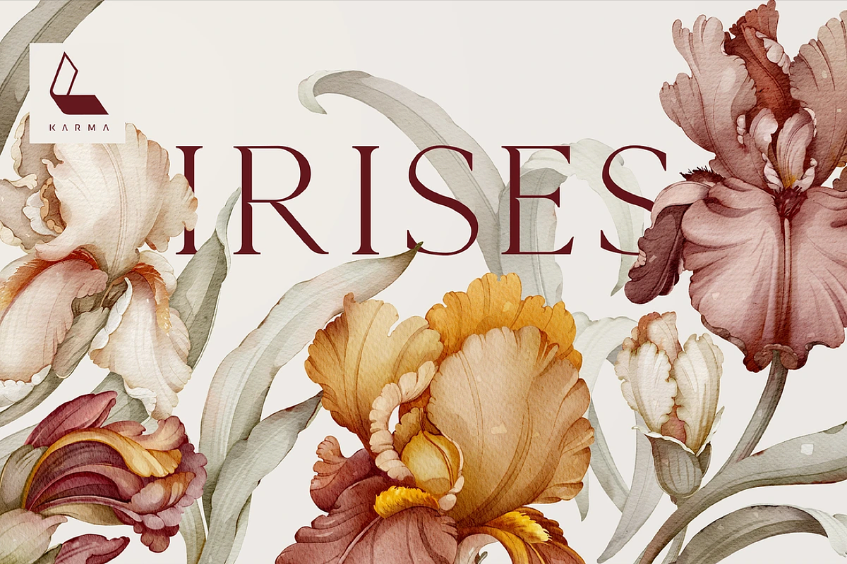 Bloom Poetry – 8 in 1 Luxury Floral, an Illustration by Karma (Photo 27 of 66)