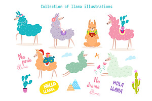 Llama Illustrations 2019 Calendar