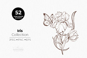Iris Botanical Line Floral Vector, a Decorative Illustration by katmonne (Thumbnail 4 of 14)