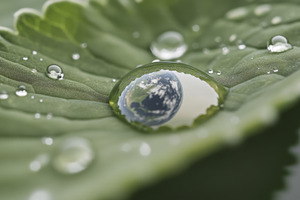 Earth Day concept with globe in Water droplet reflecting sky and, a Photo by Dvoevnore photos