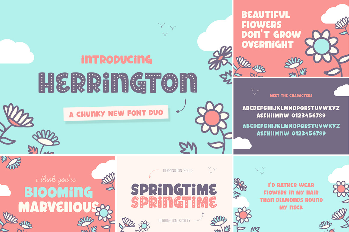 The HUGE Font Bundle (98% OFF) SALE, a Sans Serif Font by Salt & Pepper Designs (Photo 85 of 185)