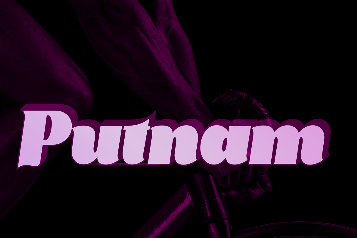 Putnam, a Script Font by artisans (Photo 1 of 5)