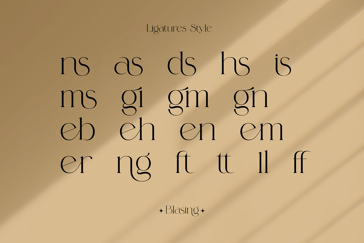 Blasing Aesthetic Serif Font, a Serif Font by Alfinart (Photo 7 of 10)