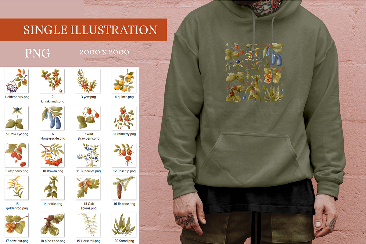Berries &forest plants, a Texture Illustration by Izobova (Photo 3 of 7)