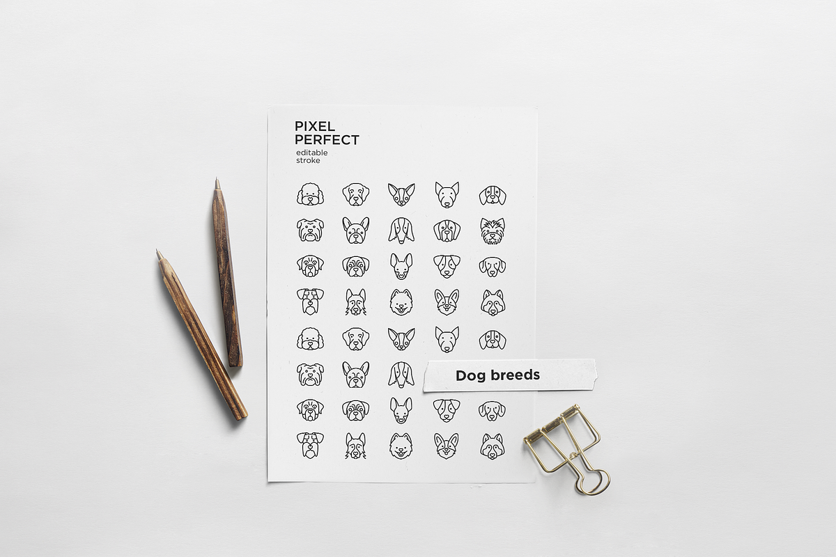 Dog Breeds 20 Thin Line Icons Set, an Outline Icon by Alex Blogoodf (Photo 7 of 11)