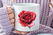 Red Lithograph Roses Clipart, an Illustration by DreamCafeArt (Thumbnail 5 of 7)