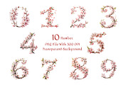 Cherry Blossom Watercolor Clipart, a Decorative Illustration by ForhadGFX (Thumbnail 12 of 13)