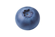 All Fruits Bundle Master Collection, a Food & Drink Photo by FlyeredTemplate (Thumbnail 67 of 130)