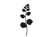 Botanical bundle - svg, png, a Decorative Illustration by Watercolor_Vector Graphic (Thumbnail 23 of 26)