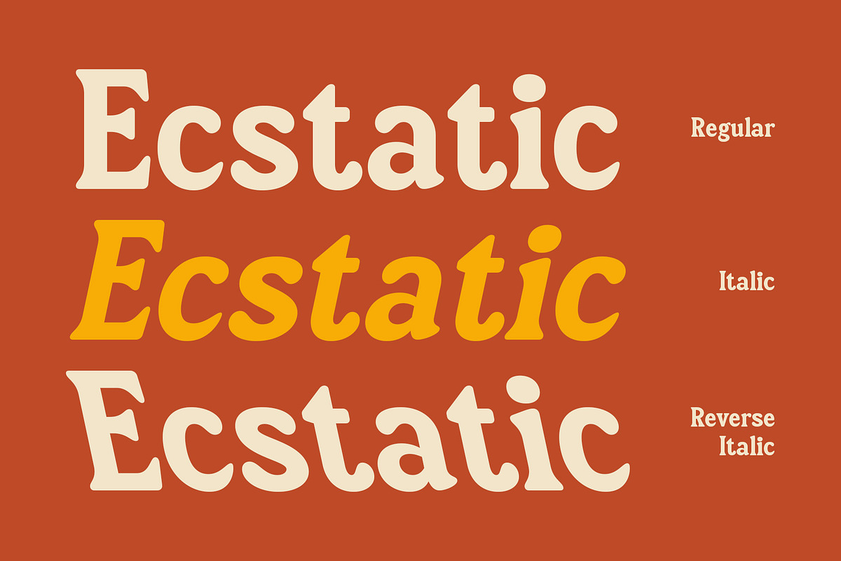 CS Maisy – Retro Font, a Serif Font by Craft Supply Co. (Photo 6 of 8)