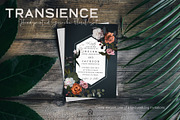 Transience - Hand-painted Gouache, an Illustration by SmallHouseBigPony (Thumbnail 7 of 16)