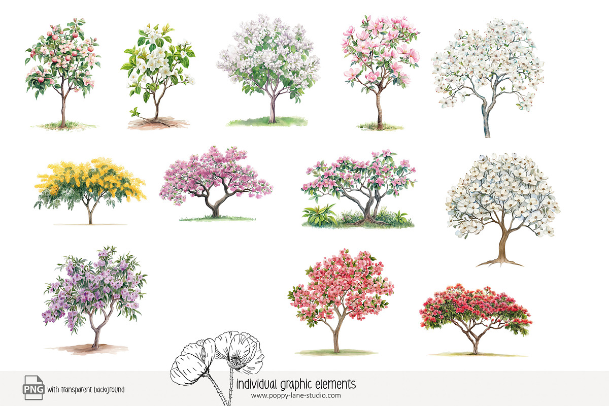 100 watercolor floral trees clip art, a Seasonal Illustration by Poppy Lane Studio (Photo 11 of 12)