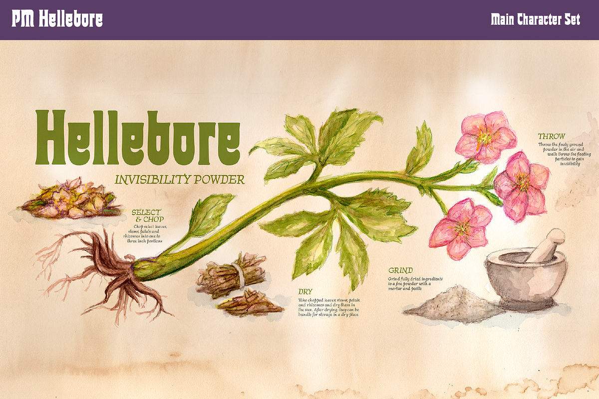 Hellebore Fantasy Nouveau Font, a Sans Serif Font by Paper Moon Graphic Supply (Photo 6 of 6)