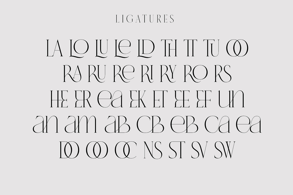 VERNICE LEMANS, a Serif Font by NYDESIGN (Photo 8 of 10)