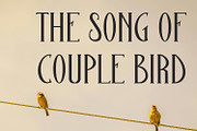 Killae Serif Aesthetic Display Font, a Serif Font by Maulana Creative (Thumbnail 2 of 7)