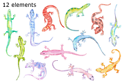 Lizard watercolor clip art, a Background Graphic by GoodFairyClipArt (Thumbnail 2 of 2)