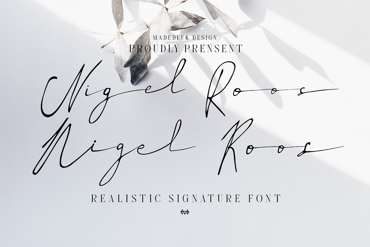 Nigel Roos Signature, a Script Font by madeDeduk (Photo 1 of 8)