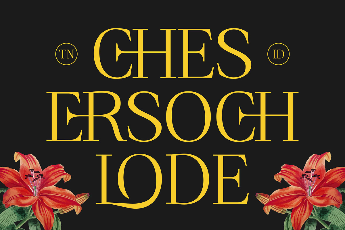 French Clover - Ligature Serif, a Serif Font by Typia Nesia (Photo 7 of 13)