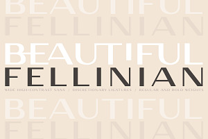 Fellinian - Mid Century Logo Sans