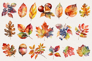 Autumn Leaves Clipart. AI