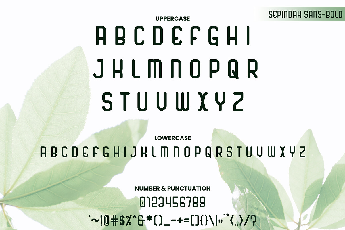 Sepindah Font Duo Sans & Script, a Handwritten Font by Iwanistic (Photo 6 of 15)