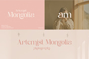 Monsieur Aegis - Modern Luxury Serif, a Serif Font by Qweera Studio (Thumbnail 9 of 12)