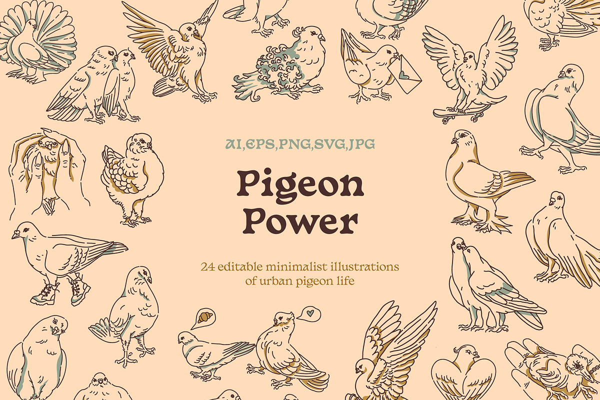 Pigeon vector illustrations, an Illustration by Hey Masha (Photo 1 of 9)