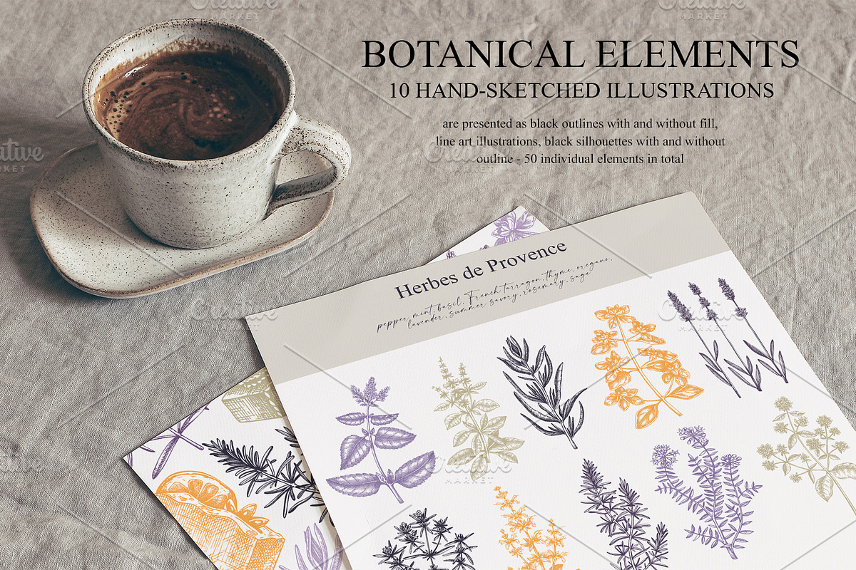 Herbs of Provence Collages & Vectors, a Healthcare Illustration by Yevheniia (Photo 6 of 12)
