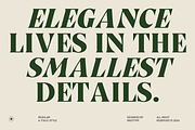 Seron - Bold Display Serif Font, a Serif Font by Indotype Foundry (Thumbnail 10 of 10)