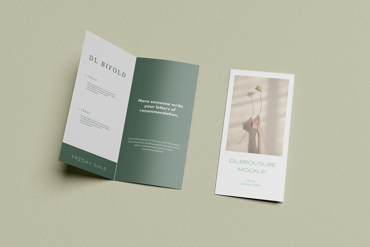Bifold DL Flyer Mockup, a Print Template by Akaimockup (Photo 2 of 8)