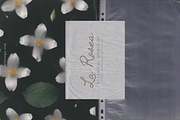 La Rosea — Botanical Floral Ephemera, a Background Graphic by nadispasibenko (Thumbnail 6 of 8)