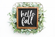 Pumpkin Harvest | Modern Script Font, a Script Font by KA Designs (Thumbnail 6 of 17)
