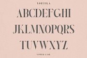 Nortika Serif Vintage Display, a Serif Font by LuhopCreative (Thumbnail 7 of 13)
