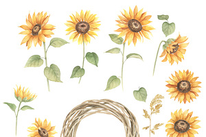 Watercolor Sunflower Cliparts