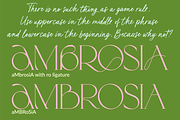 Karme // Modern Font Duo, a Serif Font by PeachCreme (Thumbnail 4 of 13)